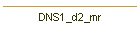 DNS1_d2_mr