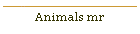 Animals mr