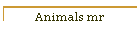 Animals mr