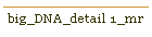 big_DNA_detail 1_mr