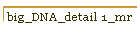 big_DNA_detail 1_mr