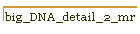 big_DNA_detail_2_mr
