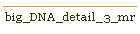big_DNA_detail_3_mr