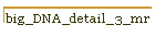 big_DNA_detail_3_mr
