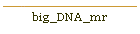 big_DNA_mr