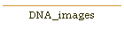 DNA_images