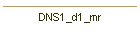 DNS1_d1_mr