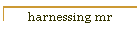 harnessing mr
