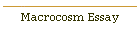 Macrocosm Essay