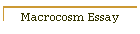 Macrocosm Essay