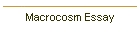 Macrocosm Essay
