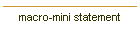 macro-mini statement