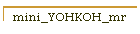 mini_YOHKOH_mr