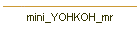 mini_YOHKOH_mr