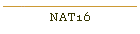 NAT16