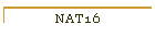 NAT16
