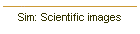 Sim: Scientific images