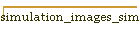 simulation_images_sim